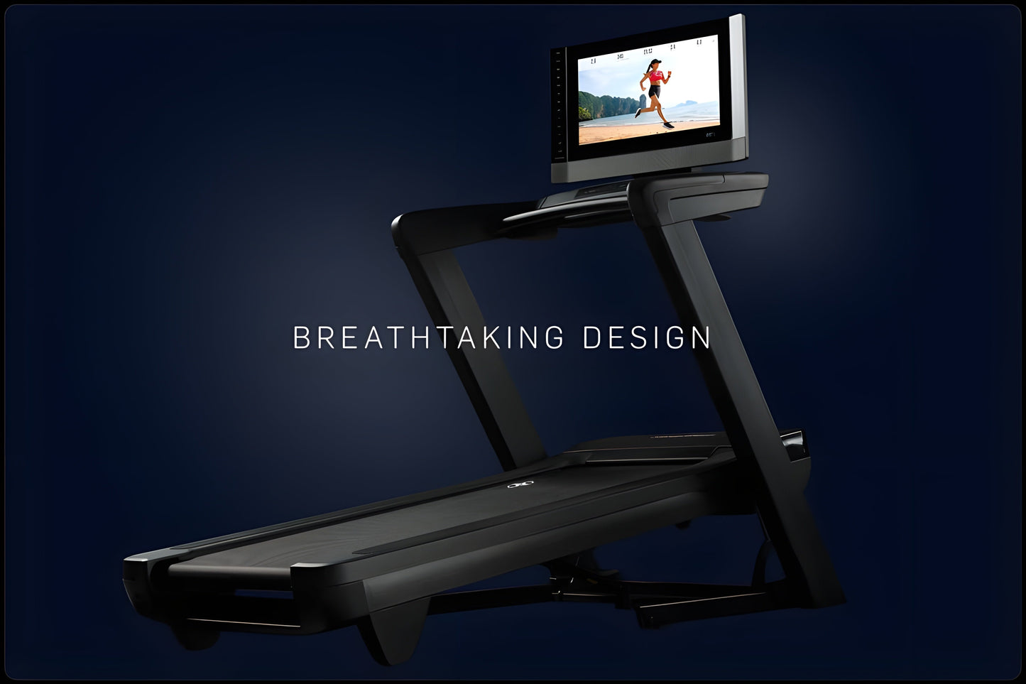 NordicTrack 2450 Commercial Treadmill - NTL19124