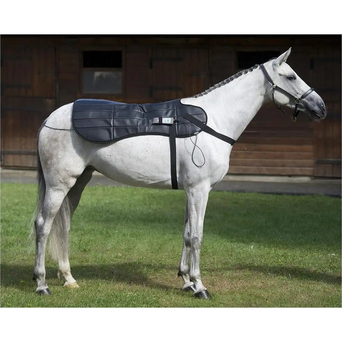 Oxford Medical Instruments OMI PEMF Full Equine Package: Blanket, Shoulder Band, Neck Wrap, Rear Leg Wrap, Front Leg Wrap