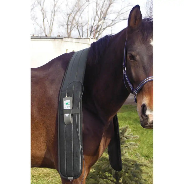 Oxford Medical Instruments OMI PEMF Full Equine Package: Blanket, Shoulder Band, Neck Wrap, Rear Leg Wrap, Front Leg Wrap