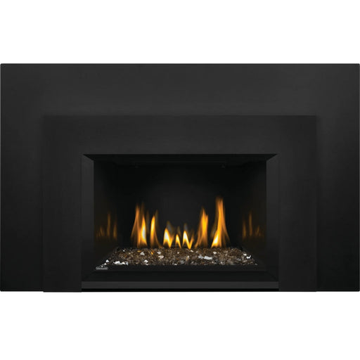 Napoleon Fireplaces Oakville G3 Gas Fireplace Insert, Natural Gas, Napoleon, 28.63", GDIG3N