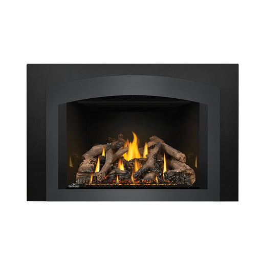 Napoleon Fireplaces Oakville GDIX4 Gas Fireplace Insert, Natural Gas, Napoleon, 34 1/8", GDIX4N