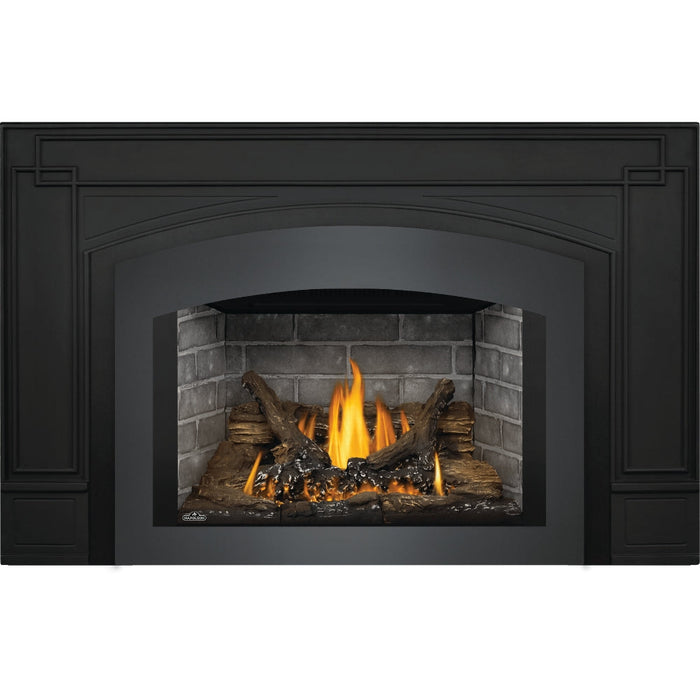 Napoleon Fireplaces Oakville 3 Gas Fireplace Insert, Direct Vent, Electronic Ignition, Natural Gas, Napoleon, 28.5", GDI3NEA