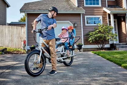 Rad Power RadWagon 4 Electric Cargo Bike, Top Speed 20mph - 102-00022