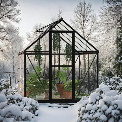 Palram - Canopia | Hybrid 6x8 ft - Black Frame With Polycarbonate Hybrid Panels - HG5508K