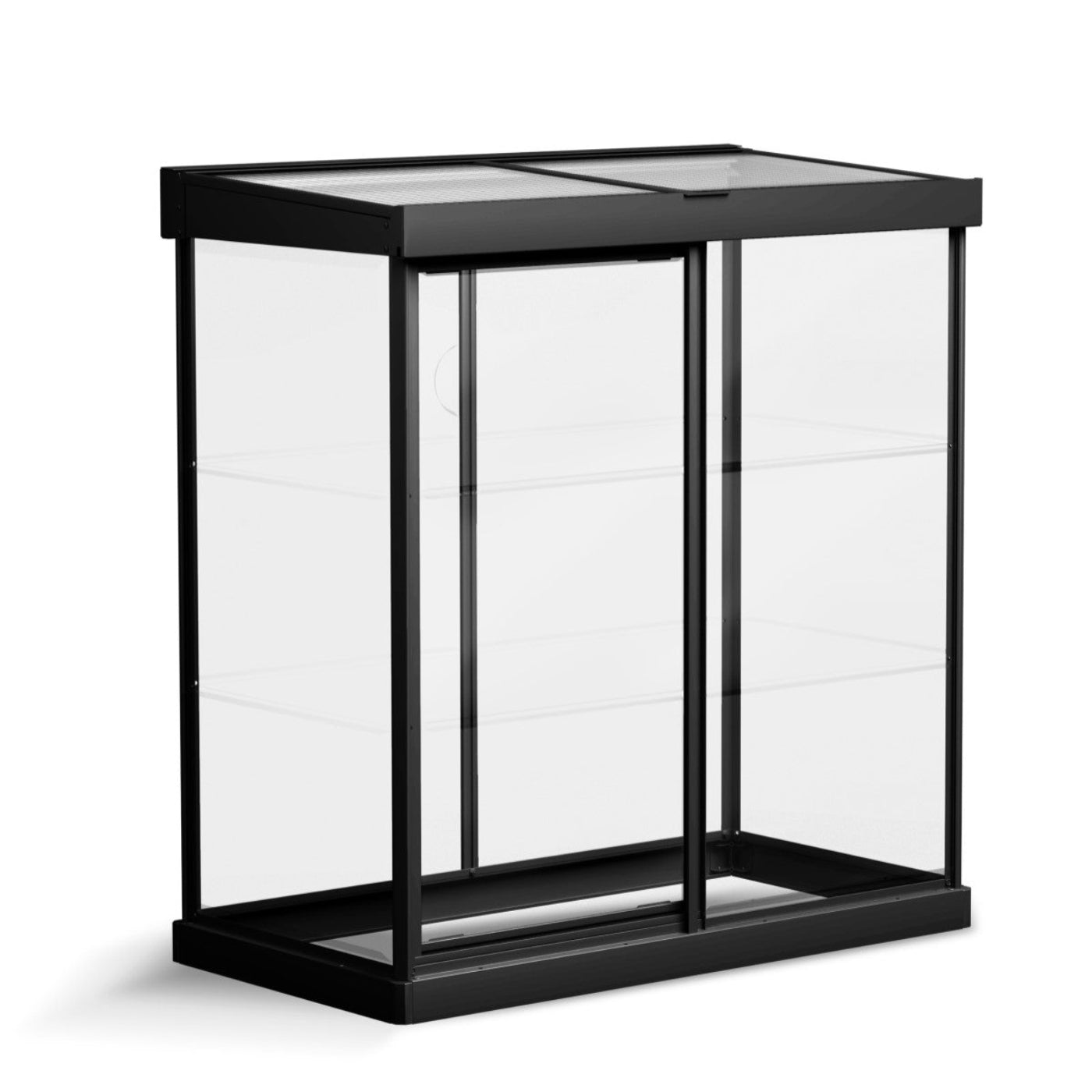Palram - Canopia | Ivy 4x2 ft. Mini Greenhouse Kit - Black Frame with Clear Polycarbonate Glazing - HG4900