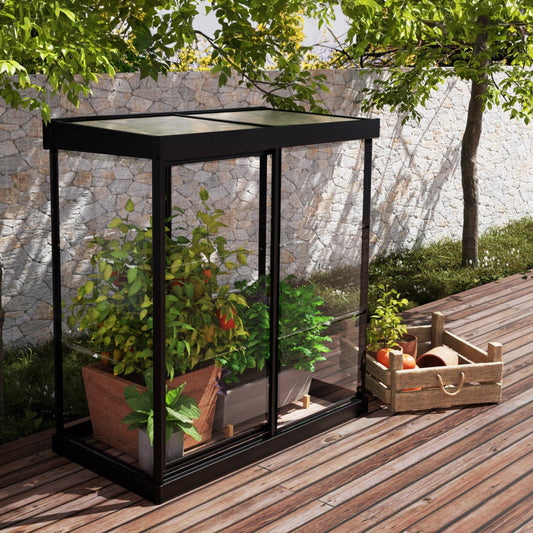 Palram - Canopia | Ivy 4x2 ft. Mini Greenhouse Kit - Black Frame with Clear Polycarbonate Glazing - HG4900