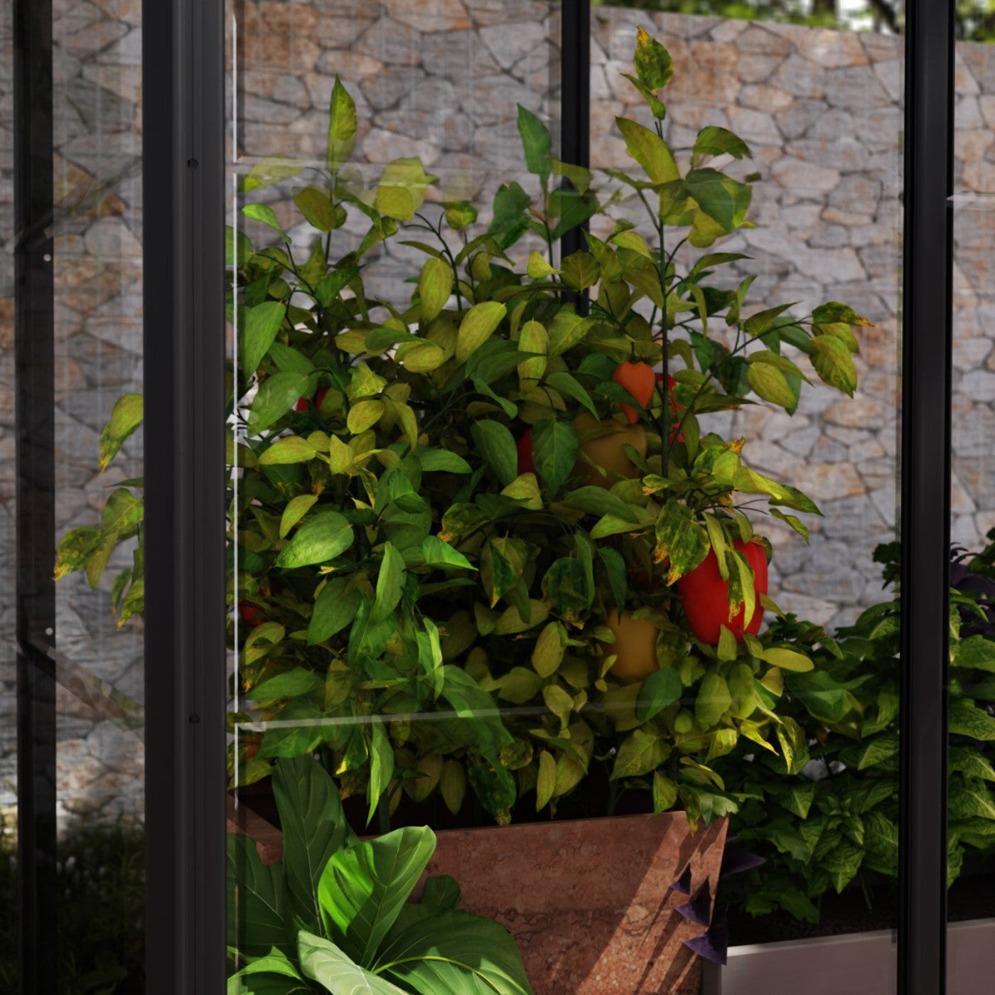 Palram - Canopia | Ivy 4x2 ft. Mini Greenhouse Kit - Black Frame with Clear Polycarbonate Glazing - HG4900