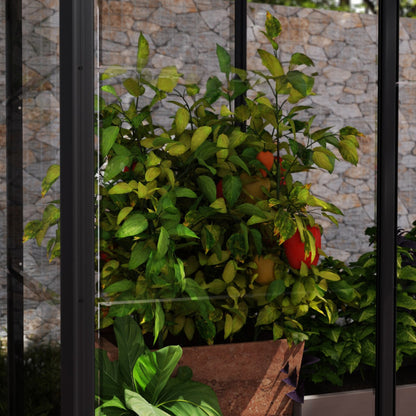 Palram - Canopia | Ivy 4x2 ft. Mini Greenhouse Kit - Black Frame with Clear Polycarbonate Glazing - HG4900