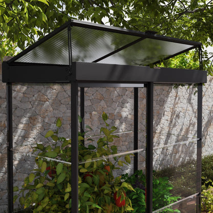 Palram - Canopia | Ivy 4x2 ft. Mini Greenhouse Kit - Black Frame with Clear Polycarbonate Glazing - HG4900