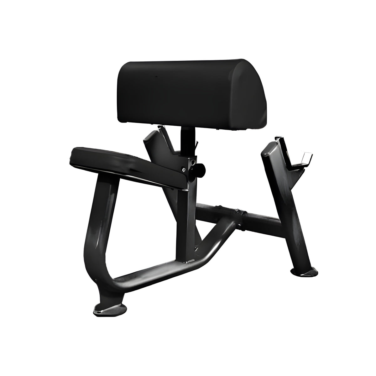 Muscle D Preachers Curl Bench BM-PCB