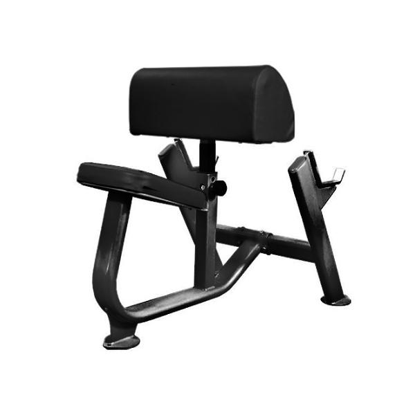 Muscle D Preachers Curl Bench BM-PCB