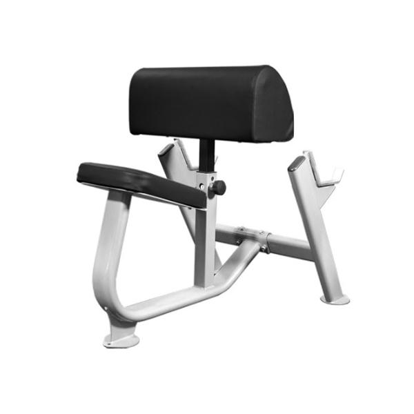 Muscle D Preachers Curl Bench BM-PCB