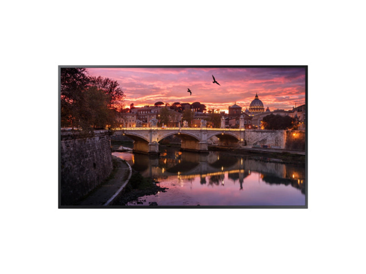 Samsung 43" 4K UHD LED Display - QB43R-B