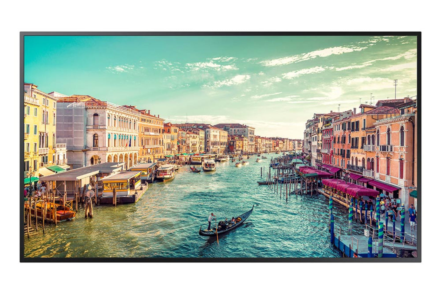 Samsung 75" 4K UHD Display - QM75B