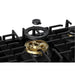 ROBAM 36-Inch 5-Burner Gas Cooktop with Brass Burners in Black - ZG9500B