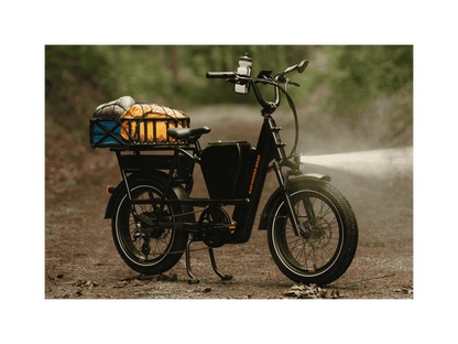 RadRunner™ Max Electric Cargo Utility Bike - 106-00067