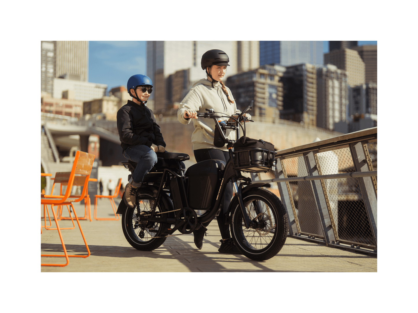 RadRunner™ Plus Electric Cargo Utility Bike - 106-00065