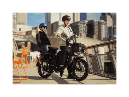 RadRunner™ Plus Electric Cargo Utility Bike - 106-00065