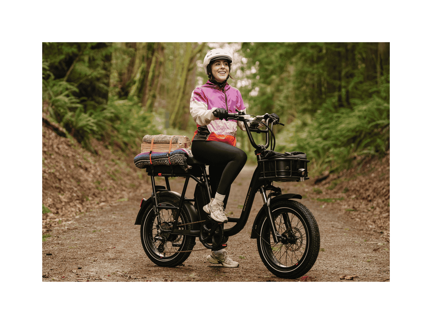 RadRunner™ Plus Electric Cargo Utility Bike - 106-00065
