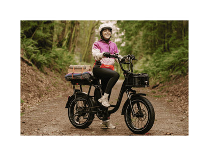 RadRunner™ Plus Electric Cargo Utility Bike - 106-00065