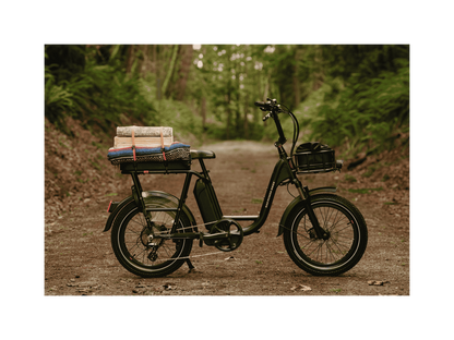 RadRunner™ Plus Electric Cargo Utility Bike - 106-00065
