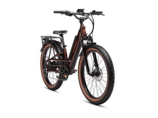 Radster™ Trail Electric Off-Road Bike - 109-00021