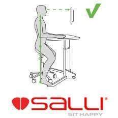 Salli Slim Basic Ergonomic Chair for Kids and Petite Women - SSB