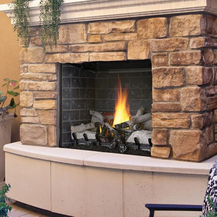 Napoleon Fireplaces Riverside Outdoor Gas Burning Fireplace, Stainless Steel 36"- GSS36CFNE