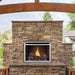 Napoleon Fireplaces Riverside Outdoor Gas Burning Fireplace, Stainless Steel 36"- GSS36CFNE