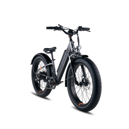 Rad Power Bikes RadRover 6 Plus Electric Fat Tire Bike, Top Speed 20mph - 101-00035
