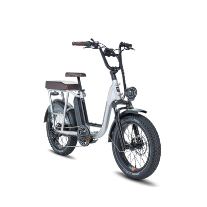 Rad Power Bikes RadRunner  Plus - 106-00007