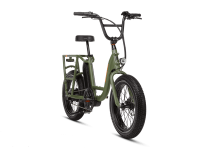 RadRunner™ Electric Cargo Utility Bike - 106-00063