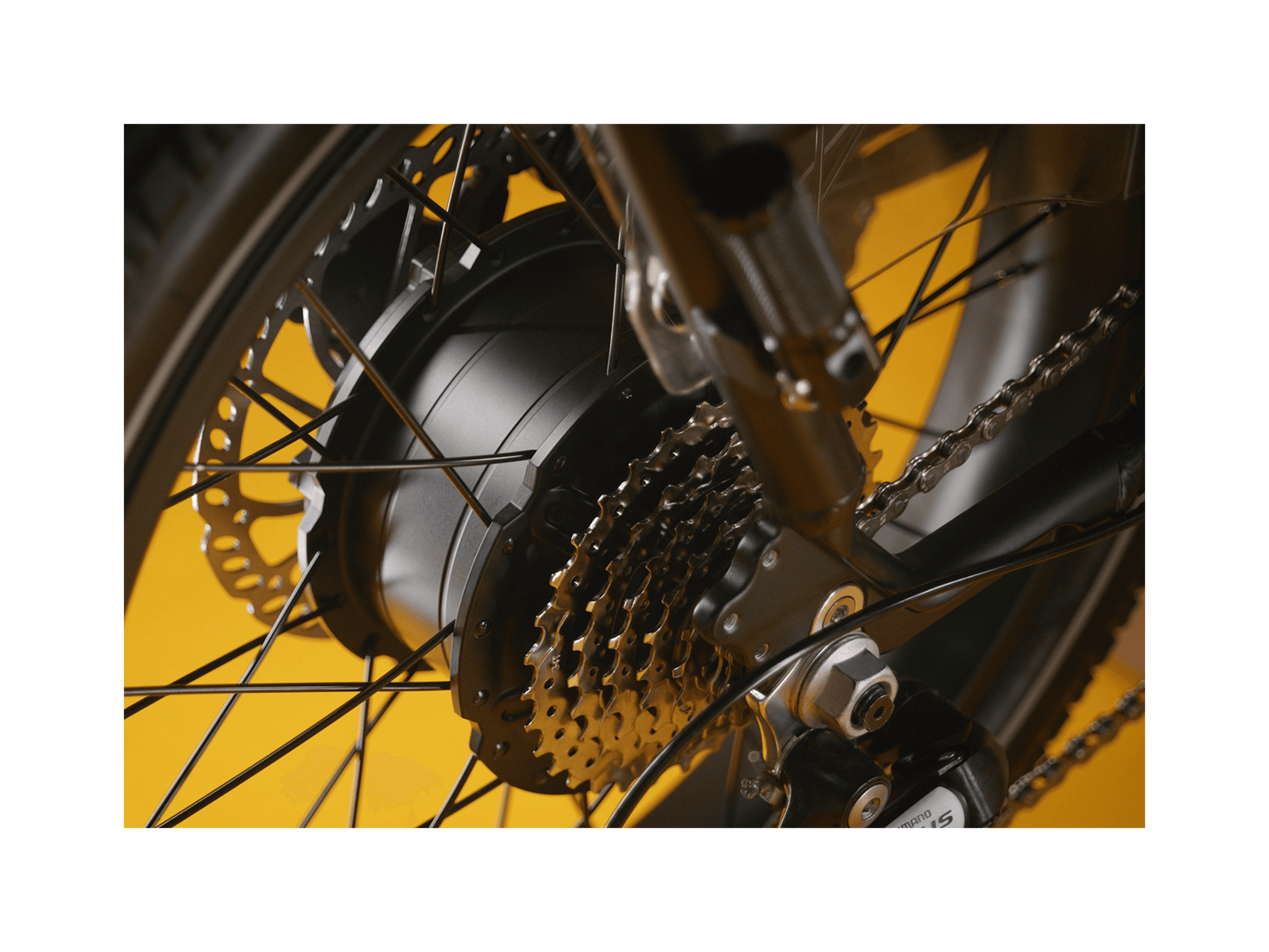 RadRunner™ Max Electric Cargo Utility Bike - 106-00067