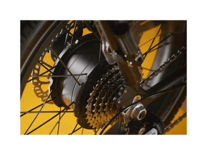 RadRunner™ Max Electric Cargo Utility Bike - 106-00067