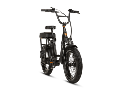 RadRunner™ Plus Electric Cargo Utility Bike - 106-00065