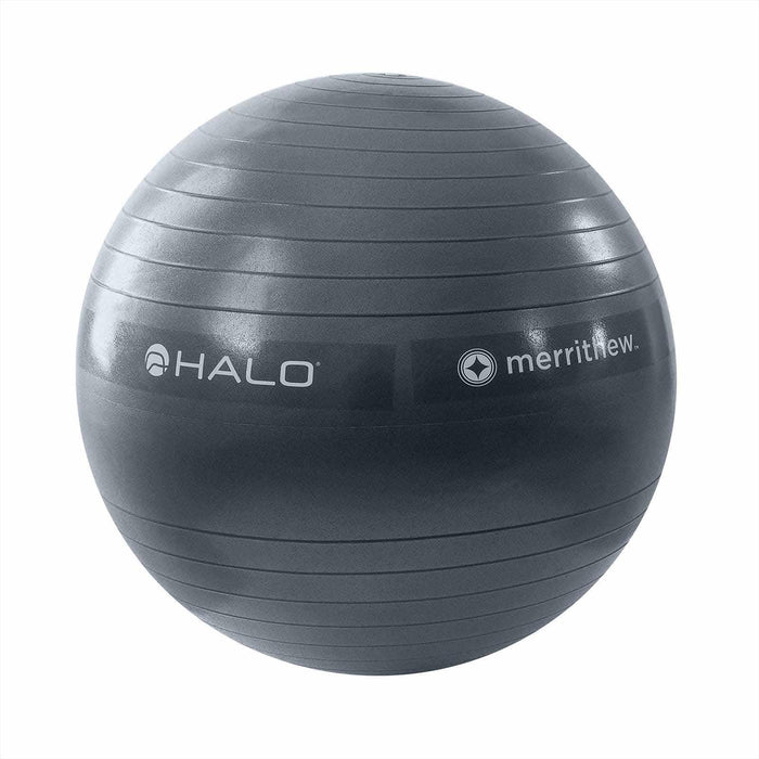 Merrithew Halo-Trainer-Stability-Ball--55-Cm ST06157 - Backyard Provider