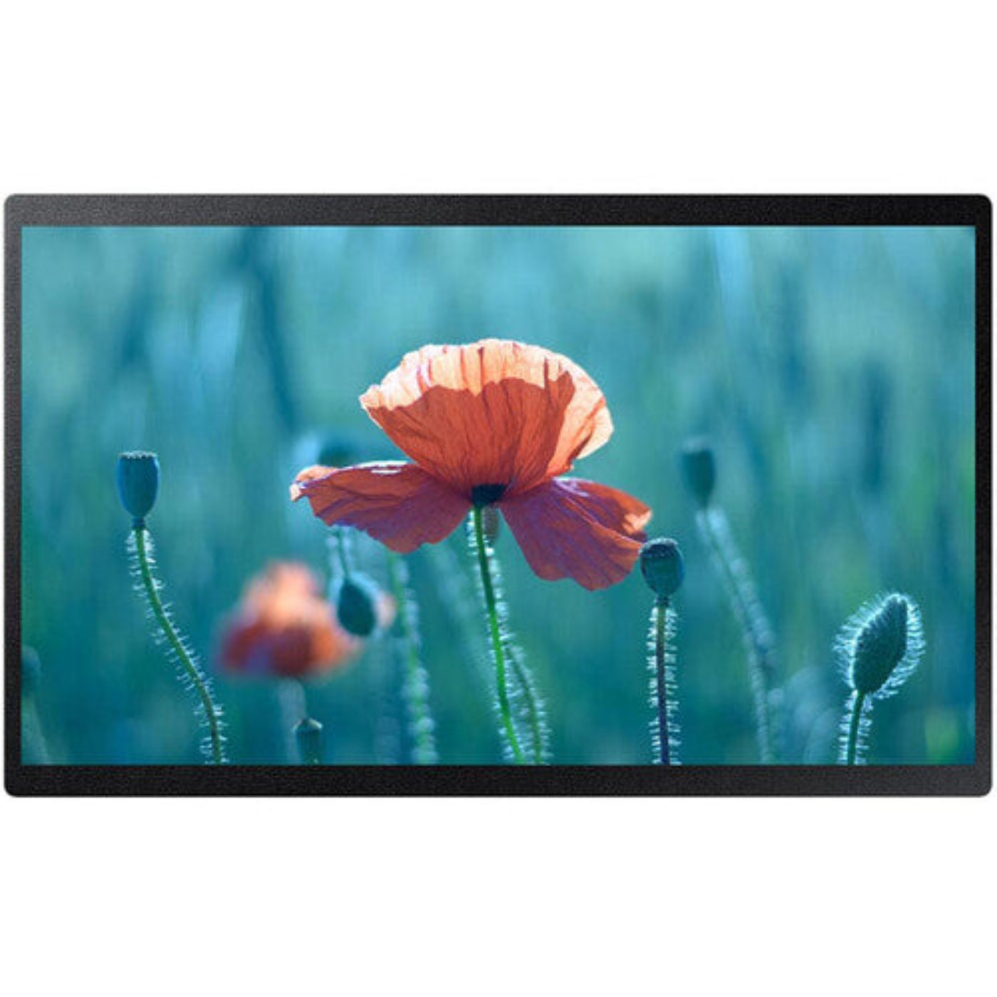 Samsung 24" Class Full HD Smart Digital Signage LED Display - QB24R