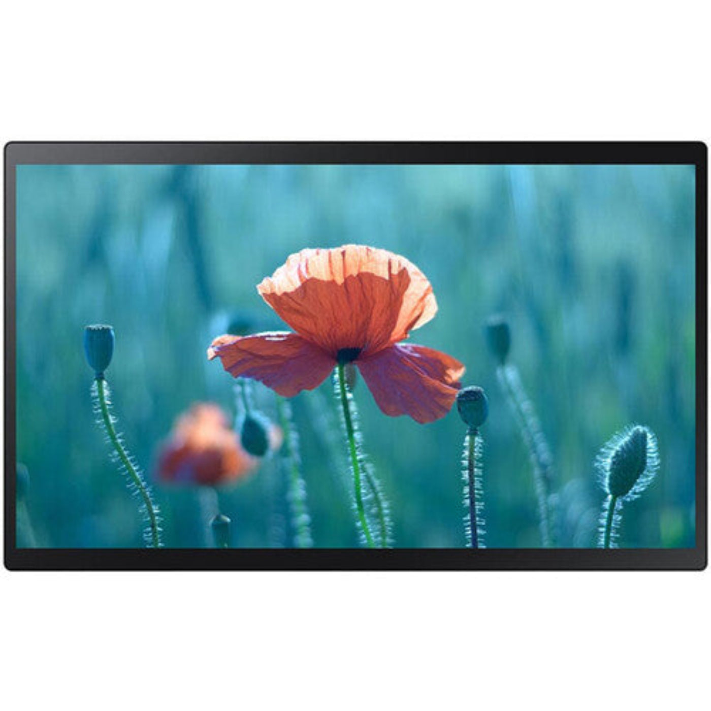 Samsung  Class Full HD Smart Digital Signage Touchscreen LED Display - QB24RT