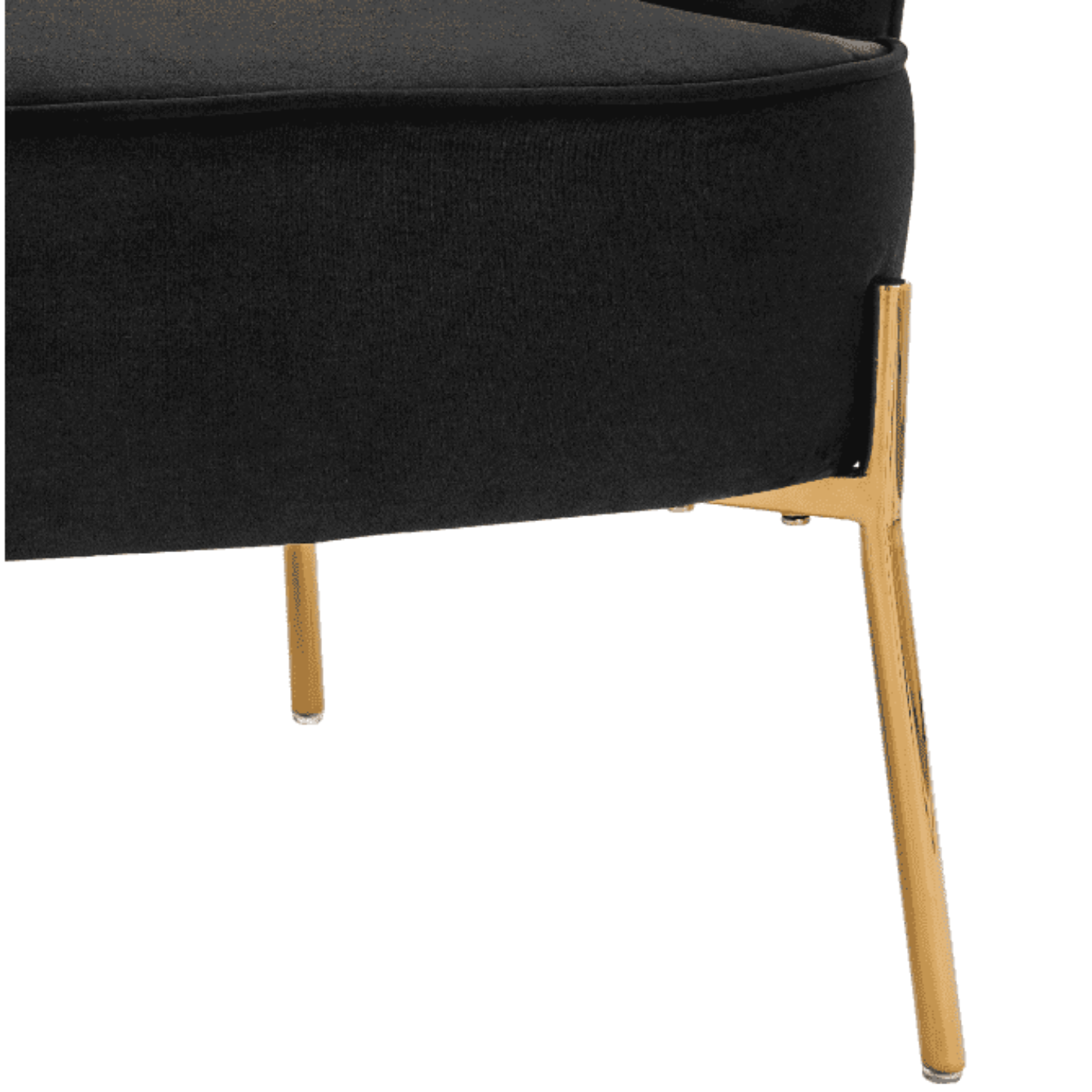 New Pacific Direct Arianna Velvet Fabric Accent Arm Chair 1900183-575 - 1900183-575