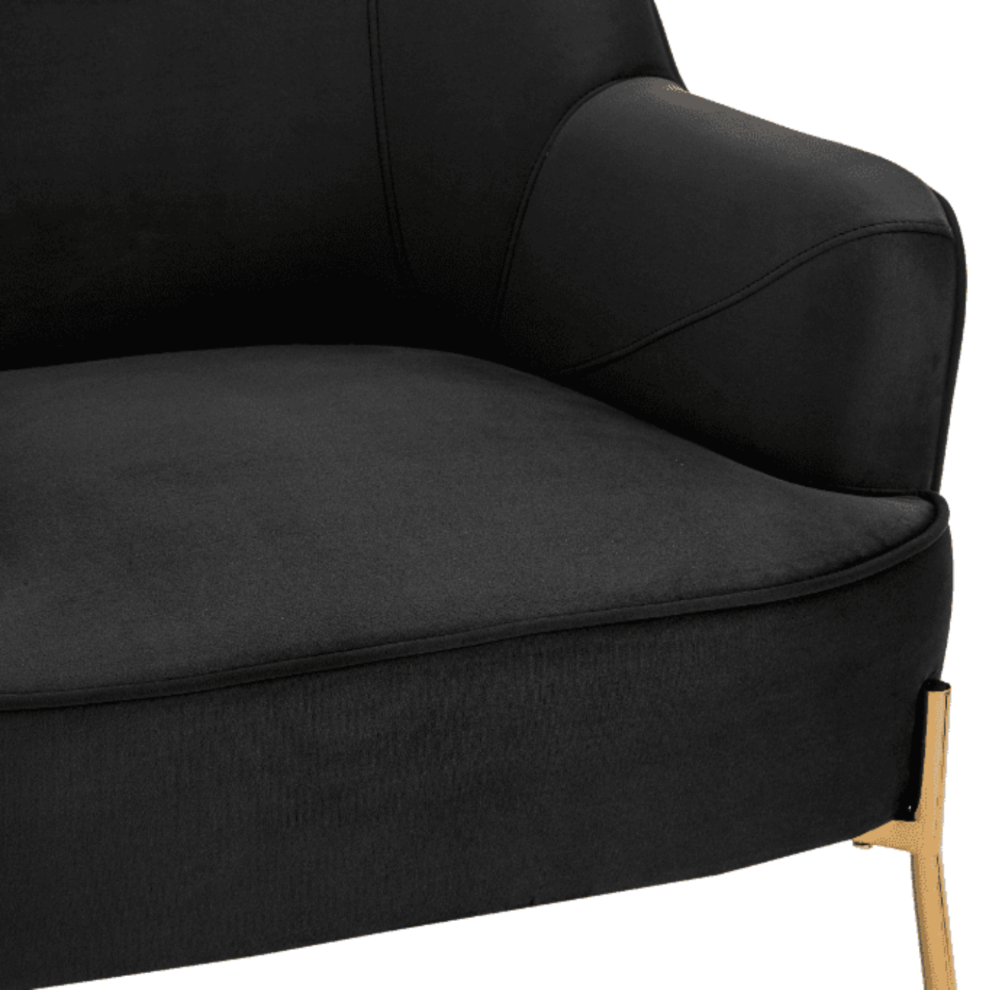 New Pacific Direct Arianna Velvet Fabric Accent Arm Chair 1900183-575 - 1900183-575