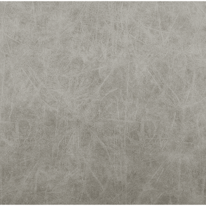 New Pacific Direct Jayden PU Dining Side Chair, (Set of 2) -  9300126-239