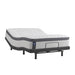 Sealy Posturepedic Summer Rose Plush Euro Pillowtop Innerspring Mattress