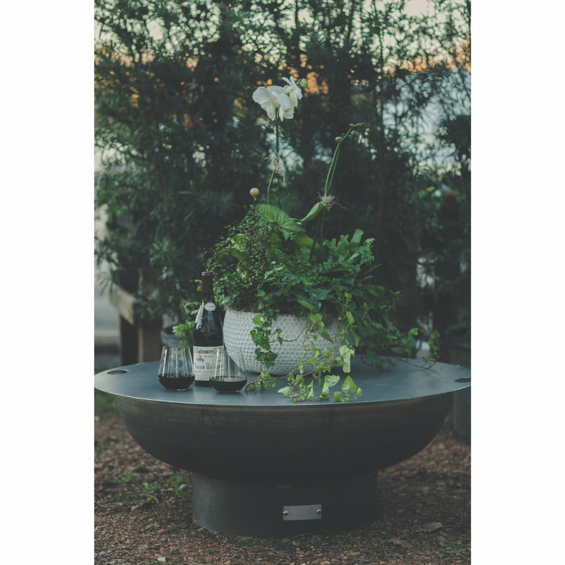 SeasonsFirePitsEllipticalSteelFirePitwithplants