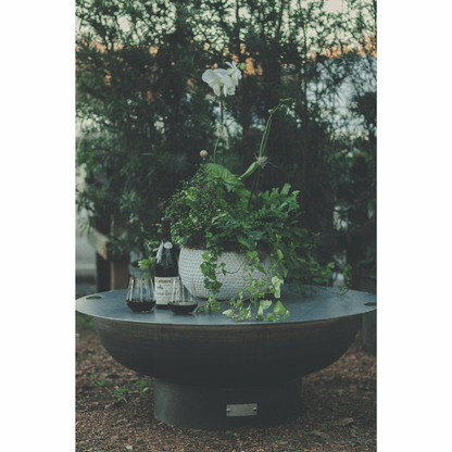 SeasonsFirePitsEllipticalSteelFirePitwithplants