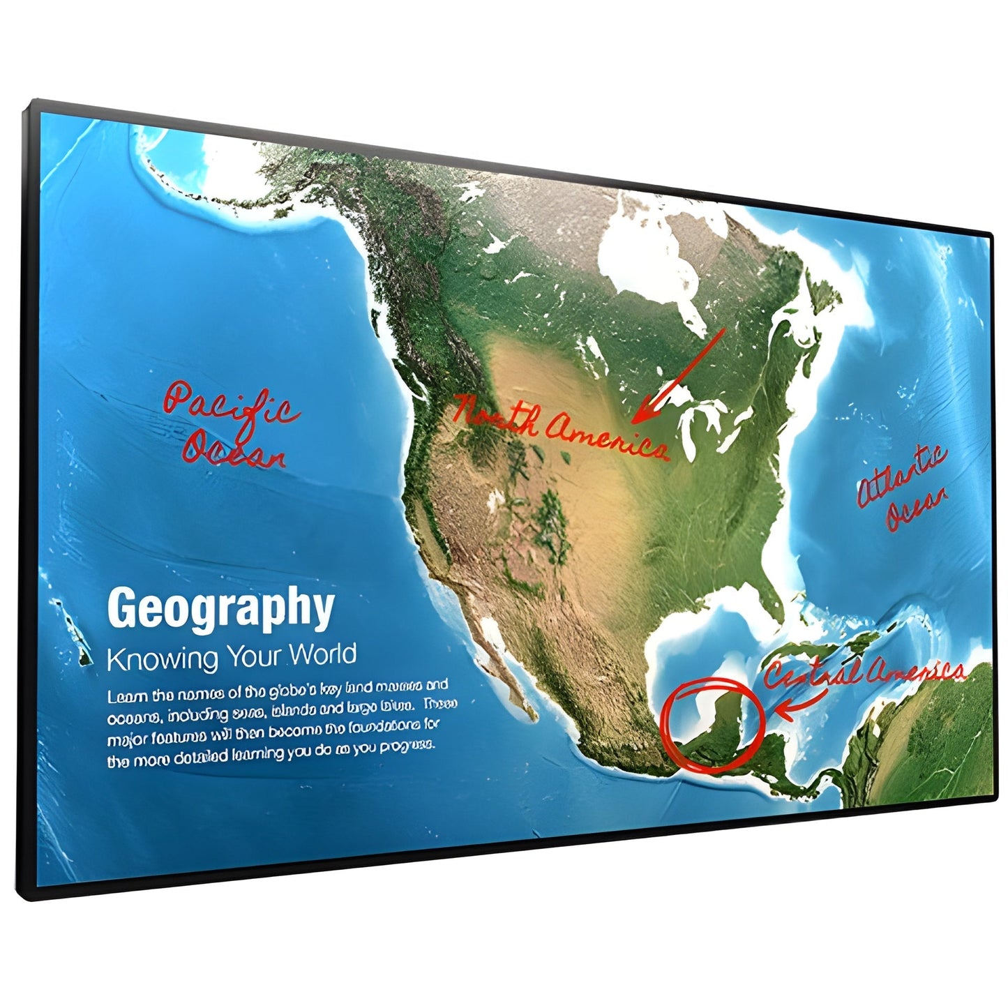Sharp 4W-B55FT5U 55" UHD Interactive Display - 4WB55FT5U