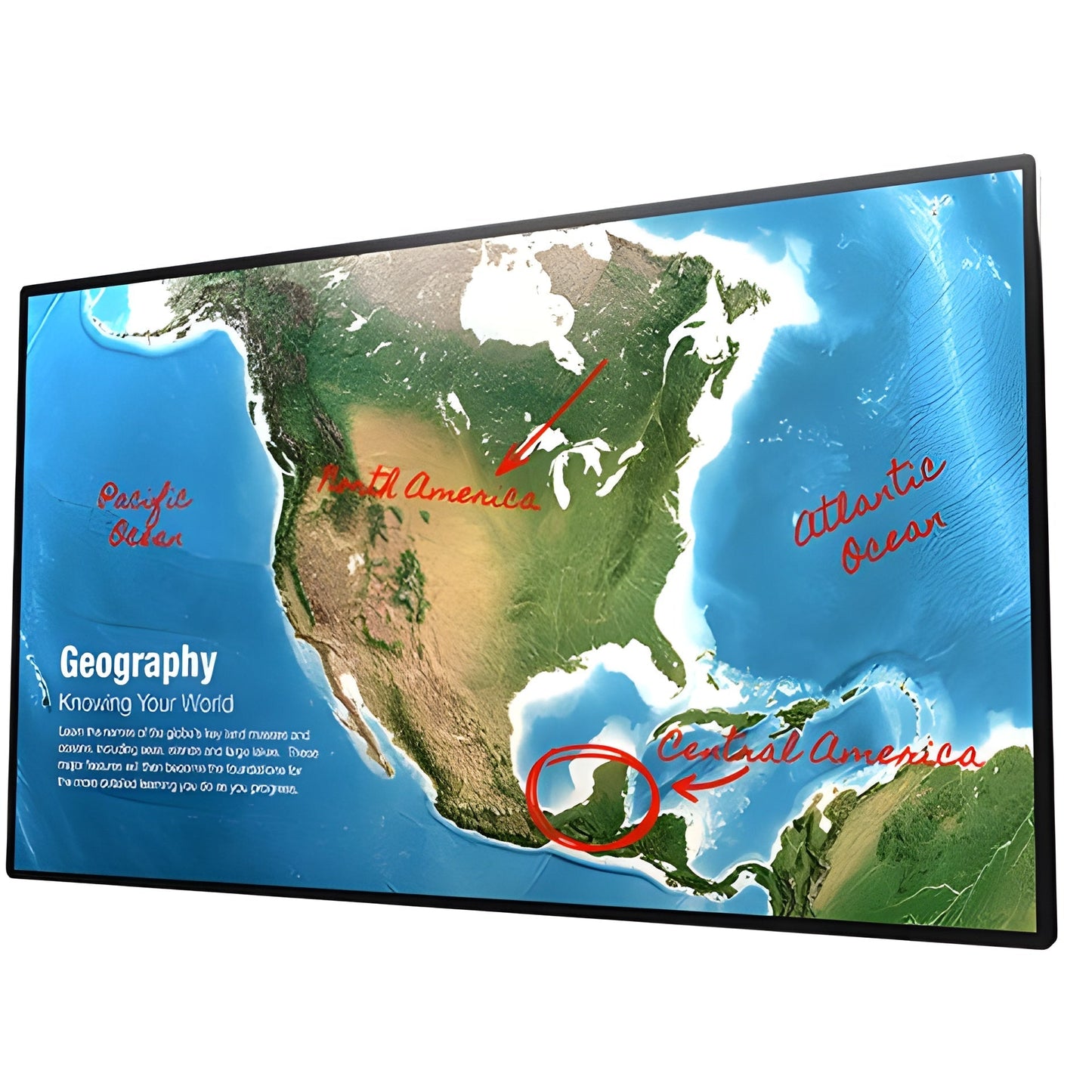 Sharp 4W-B55FT5U 55" UHD Interactive Display - 4WB55FT5U