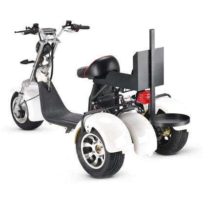 T7.3 Electric Fat Tire Golf Trike SoverSky
