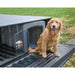 Dakota 283 T1 Low Profile Kennel for Trucks