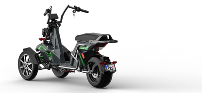 4000w Three Wheeled Motorcyle  E-Trike 50Ah Li-Battery SoverSky T100