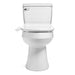 Brondell Swash Thinline T22 Electronic Bidet Seat with Side Arm Control